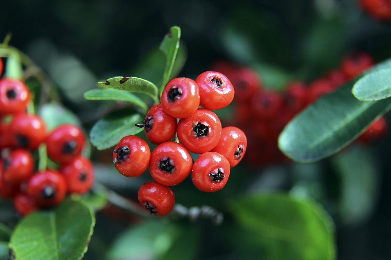 纳达尔是如 纳达尔是如