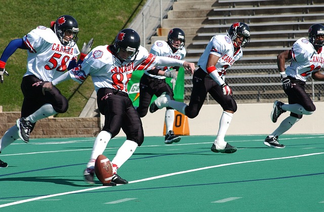 经济的活力 经济的活力