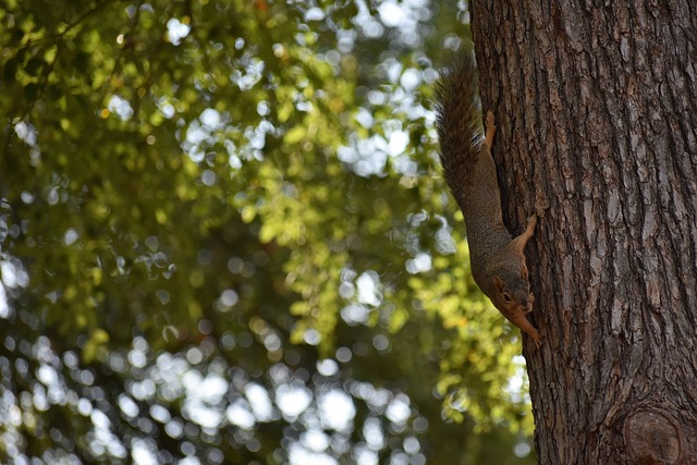 个人能力的 个人能力的
