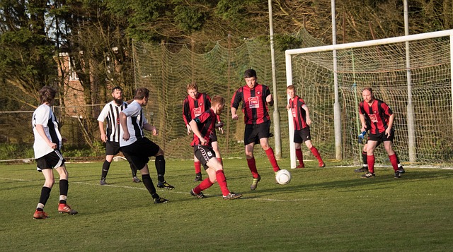 北方网为用 北方网为用